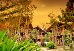 National Bank Labour Union Malaysia|NonGovernment Organization