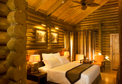 National Bank Labour Union Malaysia|NonGovernment Organization